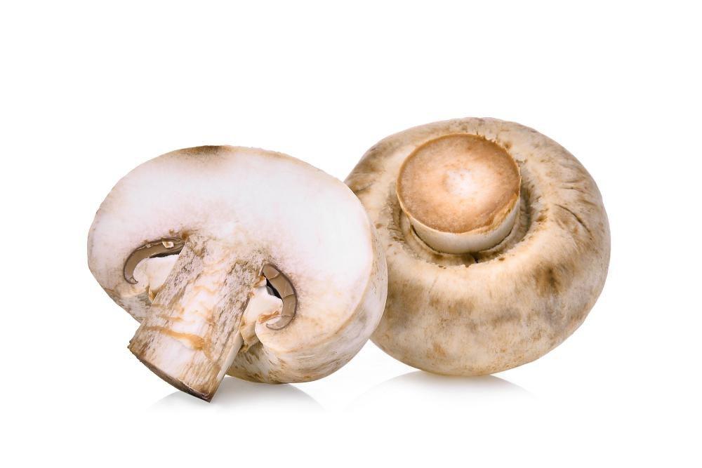 Žampiony krémové, 250 g