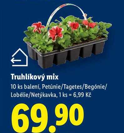 Truhlíkový mix, 10 ks balení