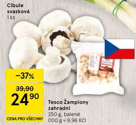 Tesco Žampiony zahradní, 250 g, balené