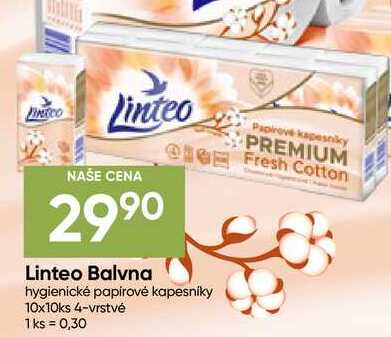 Linteo Balvna hygienické papírové kapesníky 10x10ks 4-vrstvé 