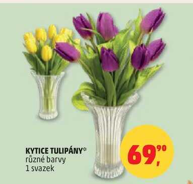 KYTICE TULIPÁNY, 1 svazek 