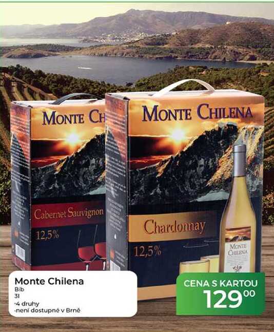 Monte Chilena Bib 31  