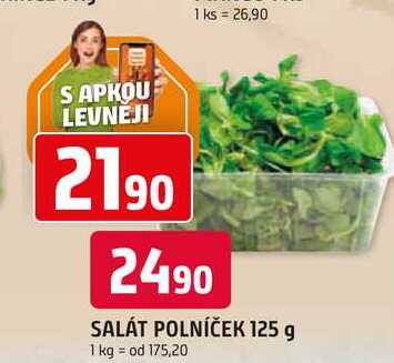 SALÁT POLNÍČEK 125 g 