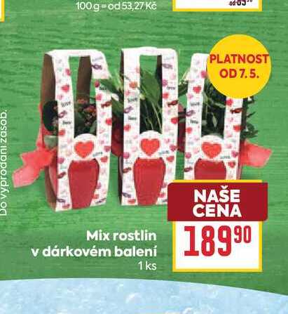 Mix rostlin v dárkovém balení 1ks
