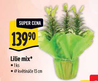 Lilie mix