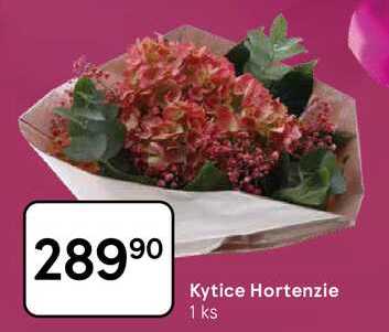 Kytice Hortenzie, 1 ks 