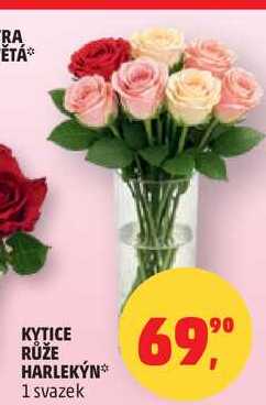 KYTICE RŮŽE HARLEKÝN, 1 svazek  