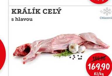 KRÁLÍK CELÝ s hlavou 1kg 
