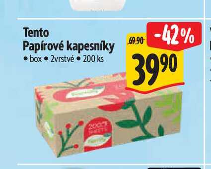 Tento Papírové kapesníky box 2vrstvé 200 ks 