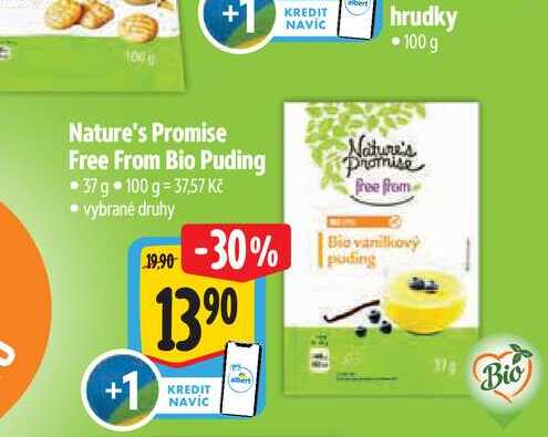  Nature's Promise Free From Bio Puding 37 g  