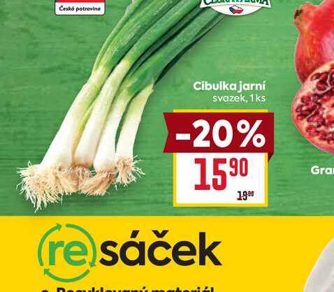 Cibulka jarní svazek, 1ks