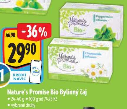 Nature's Promise Bio Bylinný čaj, 24-40 g 