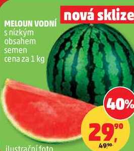 MELOUN VODNÍ s nízkým obsahem semen, 1 kg 