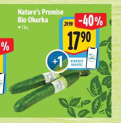 Nature's Promise Bio Okurka 1 ks