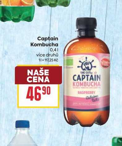 Captain Kombucha 0,4l