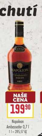 Napoleon Ambassador 0,7l