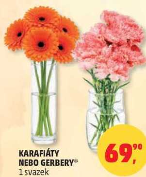 KARAFIÁTY NEBO GERBERY