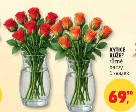 KYTICE RŮŽE