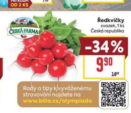 Ředkvičky svazek, 1 ks