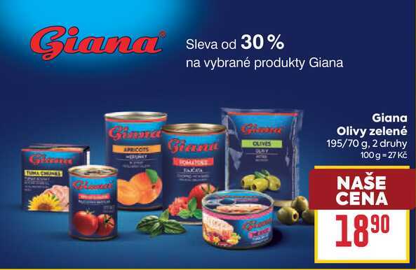 Giana Olivy zelené 195/70 g
