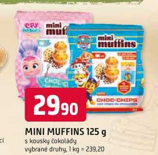 MINI MUFFINS 125 g s kousky čokolády vybrané druhy