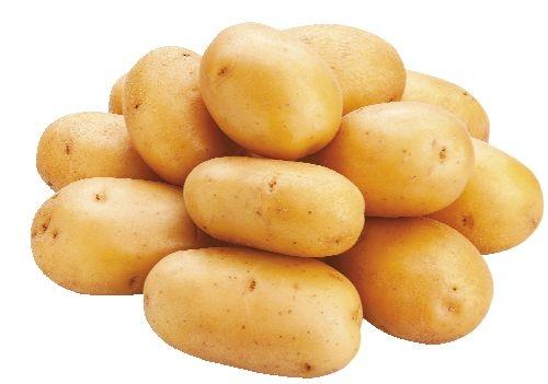 Brambory konzumní pozdní, 2.5 kg