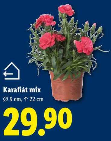 Karafiát mix