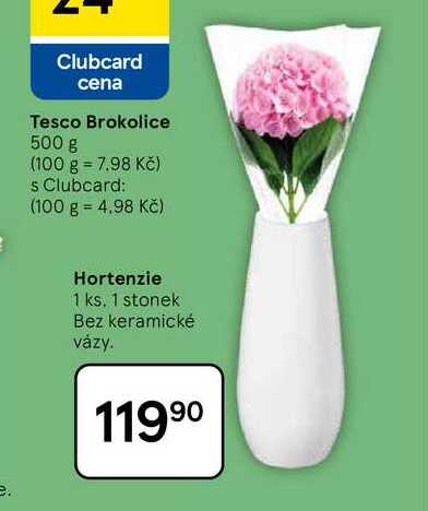 Hortenzie, 1 ks, 1 stonek