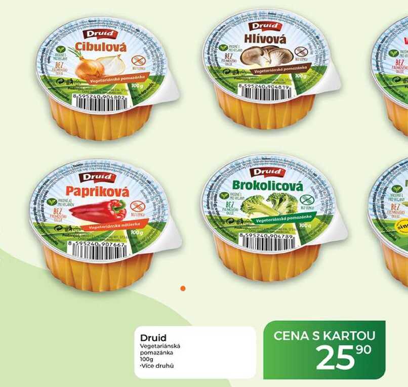 Druid Brokolicová Vegetariánská pomazánka 100 g