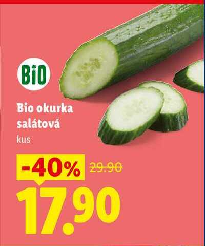 Bio okurka salátová, 1 ks