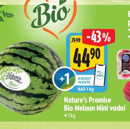 Nature's Promise Bio Meloun Mini vodní 1kg