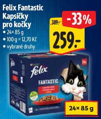 Felix Fantastic Kapsičky pro kočky, 24x 85 g