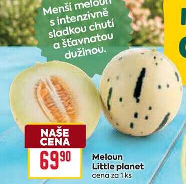 Meloun Little planet cena za 1 ks