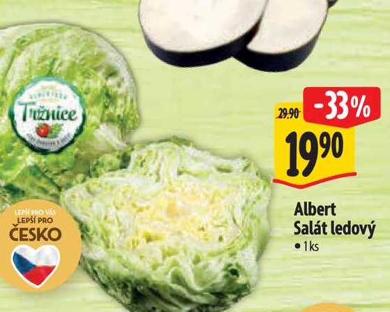 Albert Salát ledový 1ks