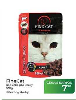 FineCat kapsička pro kočky 100g 